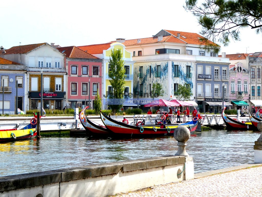 Terreno Urbano - Cacia, Aveiro, Aveiro - Miniatura: 2/2