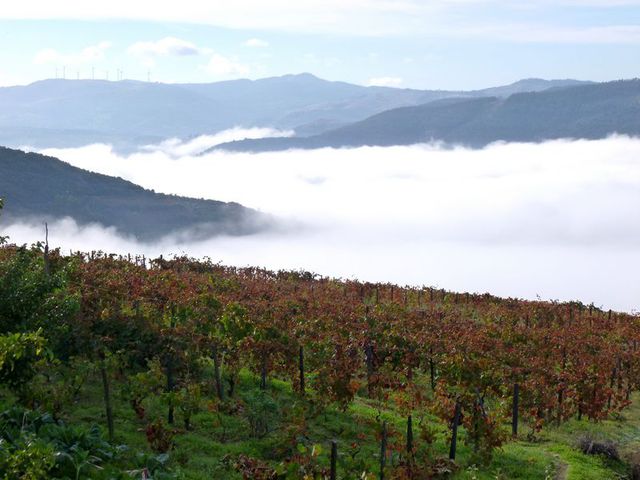 Hotel/Residencial - Ervedosa do Douro, So Joo da Pesqueira, Viseu - Imagem grande