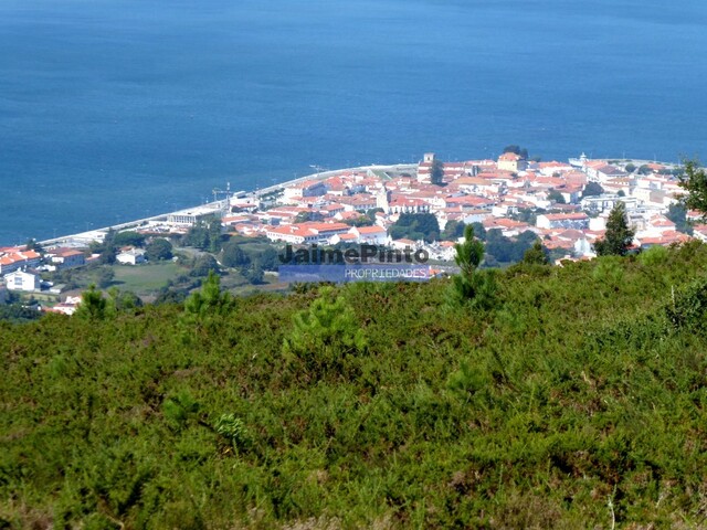 Moradia T3 - Caminha, Caminha, Viana do Castelo - Imagem grande