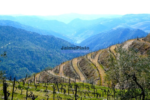 Terreno Rústico - Ribalonga, Carrazeda de Ansiães, Bragança - Imagem grande