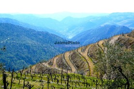 Terreno Rstico - Ribalonga, Carrazeda de Ansies, Bragana