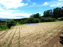 Terreno R�stico - Paredes de Coura, Paredes de Coura, Viana do Castelo - Miniatura: 2/4