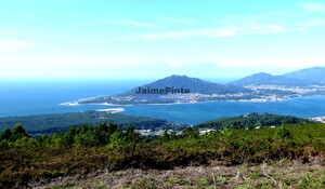 Moradia T3 - Caminha, Caminha, Viana do Castelo - Miniatura: 5/7