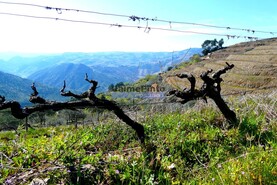 Terreno Rstico - Ribalonga, Carrazeda de Ansies, Bragana - Miniatura: 8/10