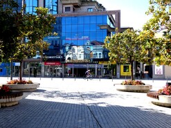 Apartamento T4 - Vera Cruz, Aveiro, Aveiro - Miniatura: 2/9
