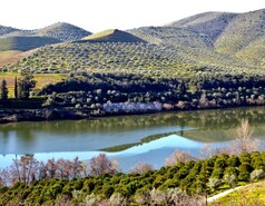 Quinta - Vila Nova de Foz C�a, Vila Nova de Foz C�a, Guarda - Miniatura: 4/9