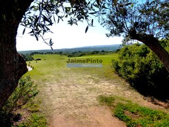 Hotel/Residencial - Ferragudo, Lagoa (Algarve), Faro (Algarve) - Miniatura: 3/8