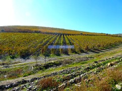 Quinta - Vila Nova de Foz C�a, Vila Nova de Foz C�a, Guarda - Miniatura: 10/10