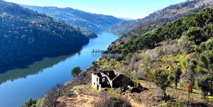 Moradia - Bai�o (Santa Leoc�dia), Bai�o, Porto - Miniatura: 10/10