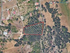 Terreno R�stico - Palhais, Barreiro, Set�bal