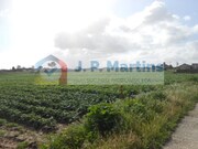 Terreno Urbano - Afonsoeiro, Montijo, Set�bal - Miniatura: 2/2
