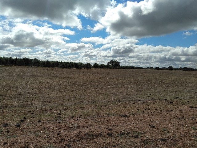 Terreno Rstico - So Joo de Negrilhos, Aljustrel, Beja - Imagem grande