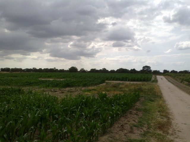 Terreno R�stico - Poceir�o, Palmela, Set�bal - Imagem grande