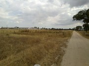 Terreno R�stico - Poceir�o, Palmela, Set�bal - Miniatura: 2/4