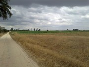 Terreno R�stico - Poceir�o, Palmela, Set�bal - Miniatura: 3/4