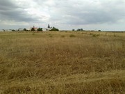 Terreno R�stico - Poceir�o, Palmela, Set�bal - Miniatura: 4/4