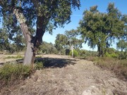 Terreno R�stico - Foros do Arr�o, Ponte de Sor, Portalegre