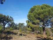 Terreno Rstico - Foros do Arro, Ponte de Sor, Portalegre - Miniatura: 4/7