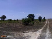Terreno R�stico - Peg�es, Montijo, Set�bal
