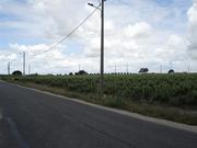 Terreno R�stico - Palmela, Palmela, Set�bal
