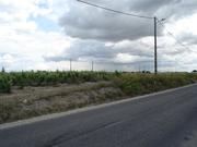 Terreno R�stico - Palmela, Palmela, Set�bal - Miniatura: 1/2