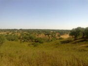 Terreno R�stico - Garv�o, Ourique, Beja