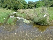 Terreno Rstico - Garvo, Ourique, Beja - Miniatura: 3/9