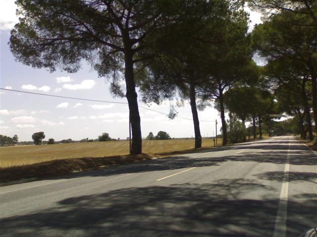 Terreno Rústico - Pegões, Montijo, Setúbal - Imagem grande