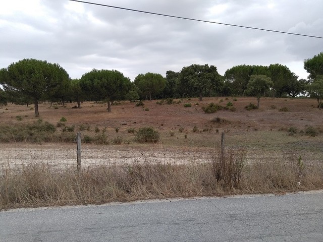 Terreno Rústico - Alcochete, Alcochete, Setúbal - Imagem grande