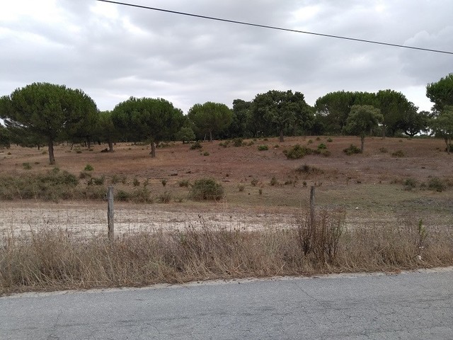 Terreno Rstico - Alcochete, Alcochete, Setbal - Imagem grande