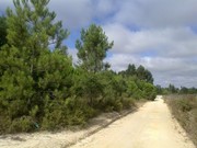 Terreno R�stico - Peg�es, Montijo, Set�bal