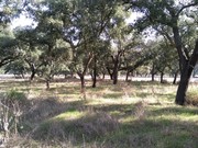 Terreno Rstico - Figueira dos Cavaleiros, Ferreira do Alentejo, Beja - Miniatura: 3/9