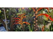 Quinta T3 - Azeito, Setbal, Setbal - Miniatura: 8/9