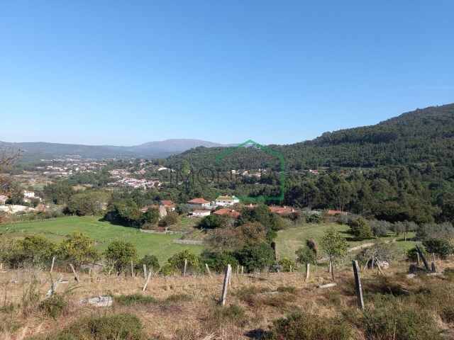 Quinta - �ncora, Caminha, Viana do Castelo - Imagem grande