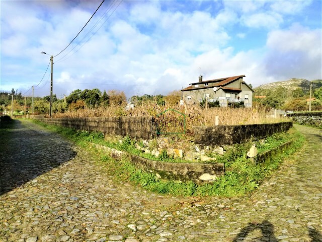 Terreno R�stico - Riba de �ncora, Caminha, Viana do Castelo - Imagem grande