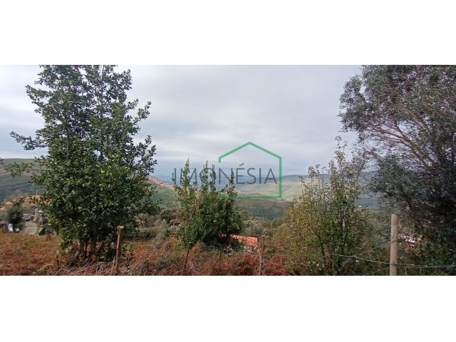 Moradia - Arga de S�o Jo�o, Caminha, Viana do Castelo - Imagem grande