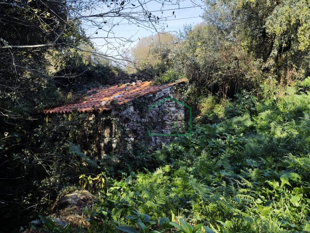 Ruina - Riba de �ncora, Caminha, Viana do Castelo - Imagem grande
