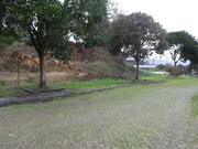 Outros - Venade, Caminha, Viana do Castelo - Miniatura: 2/2