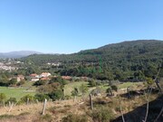 Quinta - �ncora, Caminha, Viana do Castelo - Miniatura: 1/9