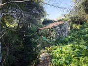 Ruina - Riba de �ncora, Caminha, Viana do Castelo - Miniatura: 2/8