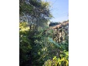Ruina - Riba de �ncora, Caminha, Viana do Castelo - Miniatura: 3/8