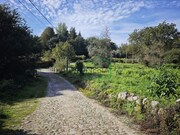 Ruina - Riba de �ncora, Caminha, Viana do Castelo - Miniatura: 7/8