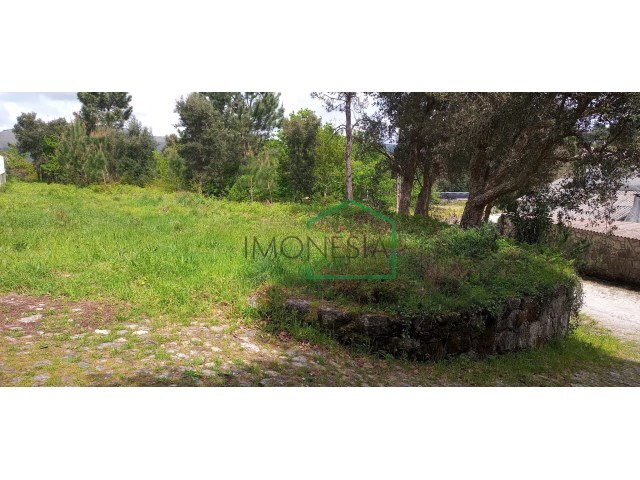 Outros - �ncora, Caminha, Viana do Castelo - Imagem grande