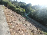Terreno R�stico - Moledo, Caminha, Viana do Castelo - Miniatura: 3/8