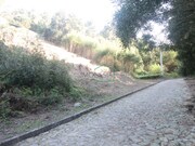 Terreno R�stico - Moledo, Caminha, Viana do Castelo - Miniatura: 5/8