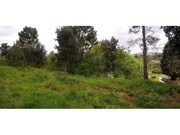 Outros - �ncora, Caminha, Viana do Castelo - Miniatura: 1/4