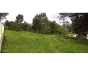 Outros - �ncora, Caminha, Viana do Castelo - Miniatura: 2/4