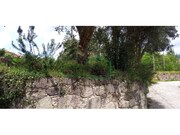 Outros - �ncora, Caminha, Viana do Castelo - Miniatura: 3/4