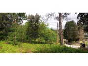 Outros - �ncora, Caminha, Viana do Castelo - Miniatura: 4/4