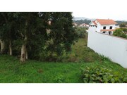 Terreno R�stico - Vile, Caminha, Viana do Castelo - Miniatura: 3/4